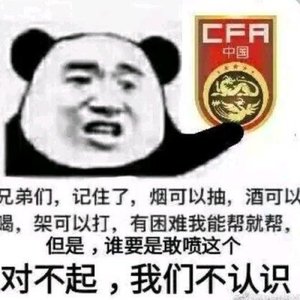 绿茵征途之光