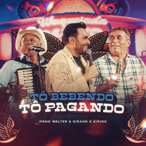 Tô Bebendo, Tô Pagando (Ao Vivo)