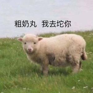 个人简介+花，太阳，雨和你＋一无所有+百变酒精