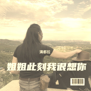 姐姐此刻我很想你