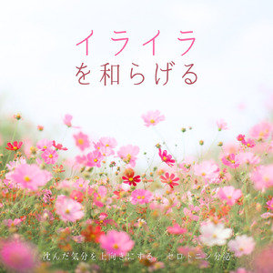 ヒーリング - 脳疲労を回復させる静寂のソルフェジオ