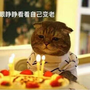 我多喜欢你，你会知道（翻自 王俊琪）