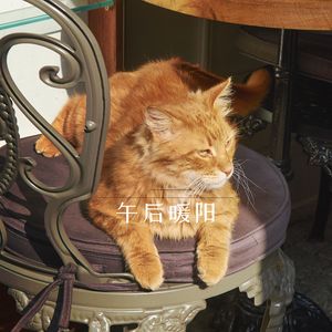 轻盈旋律 (尤克里里)