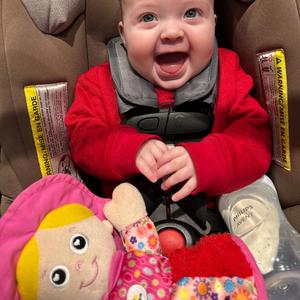 Orchestra beat moving zipps