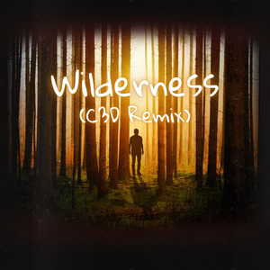 WIlderness (C3D Remix)