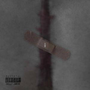 'I'diot (Drunken Freestyle)