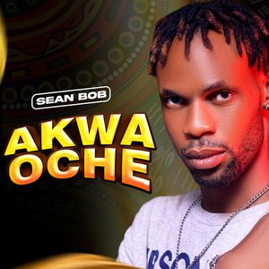 Awka Oche