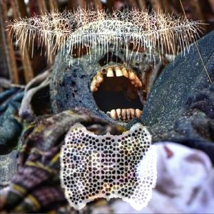 ...epikossyphophattoperisteralektryonoptekephalliokigklopeleiolagoiosiraiobaphetraganopterygon Made Out of Aesthetically Rotten Human Flesh.. (...Harvested From Eviscerated Carcasses)