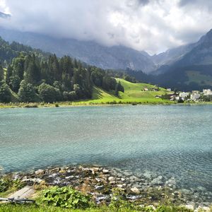 Op.10 No.8《晚风下的玫瑰》E大调钢琴协奏曲