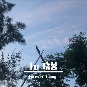 9.1