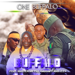 Buffalo