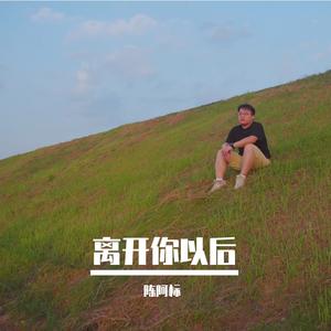 离开你以后