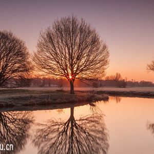 钟定一 - 提琴二重奏《Finale》 by《春光乍泄》（古奇光 remix）