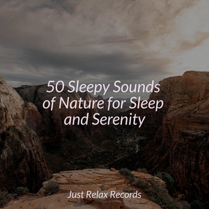 Calm Stones' Slumber