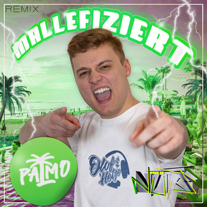 Mallefiziert (DJ This is Nuts! Remix)