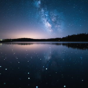 高歌漫舞随风起