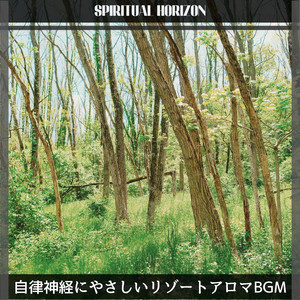 The Rhythm of the Sky