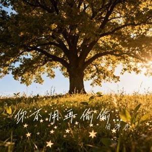你不用再偷偷摸摸了 (Cover 金钰儿)