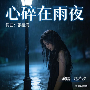 心碎在雨夜