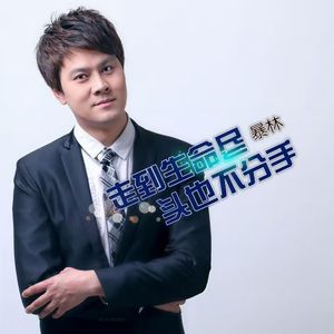 暴林-走到生命尽头也不分手（吉特巴）（倪金茂 remix）