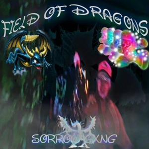 FIELD OF DRAGONS