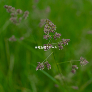 Quiet Weekend Upgrades