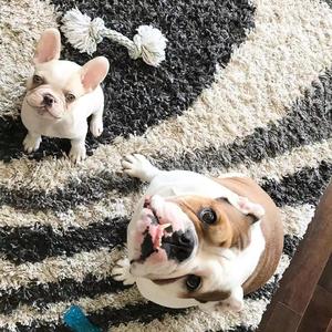 只因喜欢你-Saka/Mo(周美茵/林海峰)