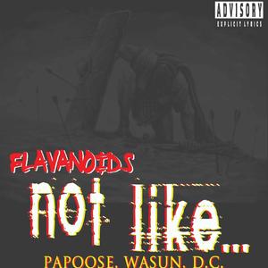 Not Like... (feat. D.C., Wasun & Papoose)