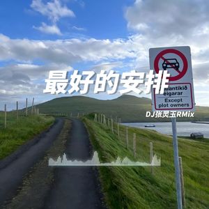 WZXQ-最好的安排 DJ张灵玉RMix