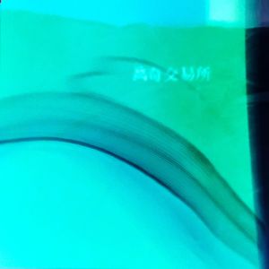 离奇交易所（feat.阿伦）