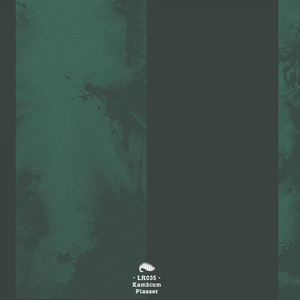 Plasser (Original Mix)