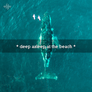 Relaxing Island Wavs For Sleep
