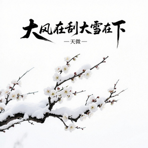 大风在刮大雪在下