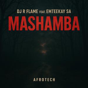 Mashamba (feat. Emteekay SA) (Afro Tech Remix)