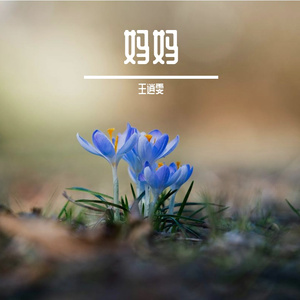 妈妈