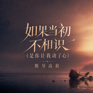如果当初不相识(是你让我动了心)