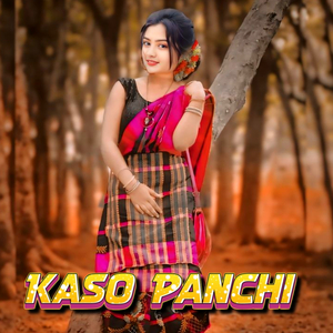 Kaso Panchi