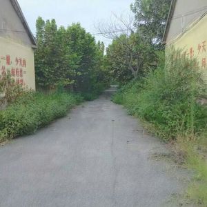 都懂