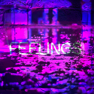 FEELINGS