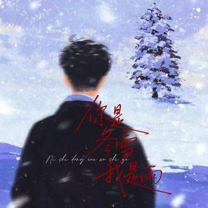 你是冬雪我是雨  (DJ版) (Cover 老韩很哇塞)