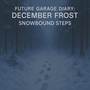 Future Garage Diary: December Frost — Snowbound Steps