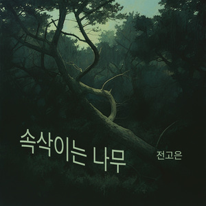 빗소리와 함께한 날들