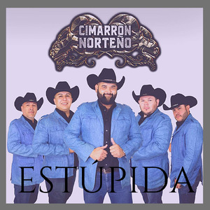Estúpida