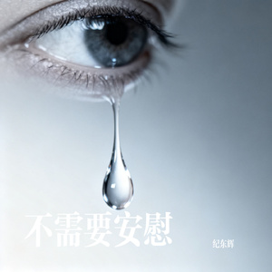 不需要安慰