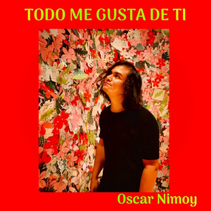 Todo Me Gusta de Ti