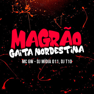 Magrão Gaita Nordestina