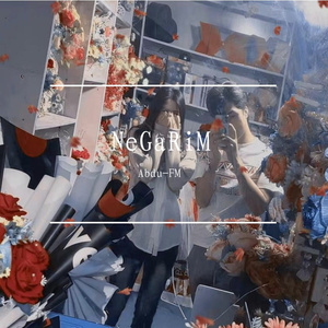 NeGaRim