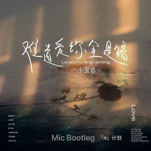 小宝总-难道爱你全是错（Micsein Bootleg）