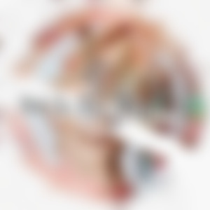 Back to the future