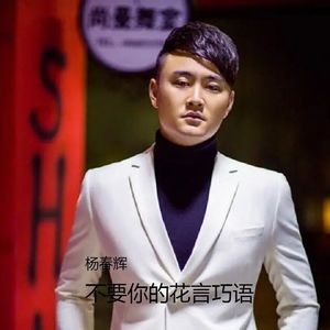 不要你的花言巧语